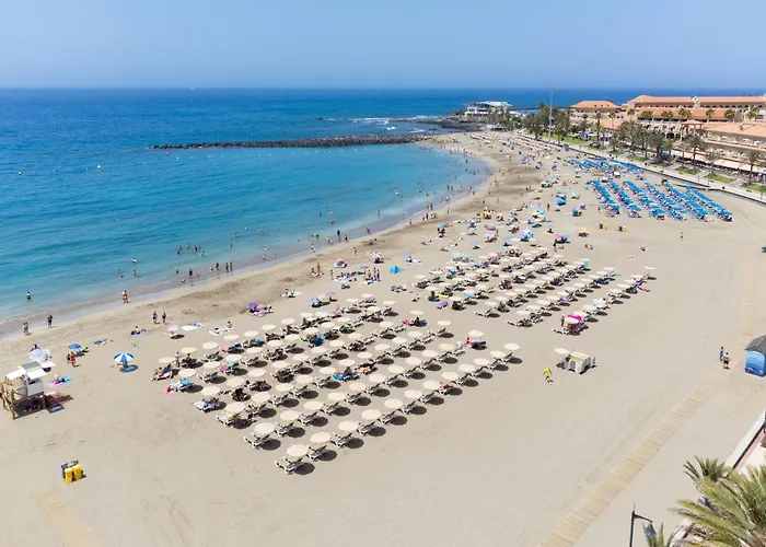 Home2Book Cozy Apt, Pool & Terrace Las Americas